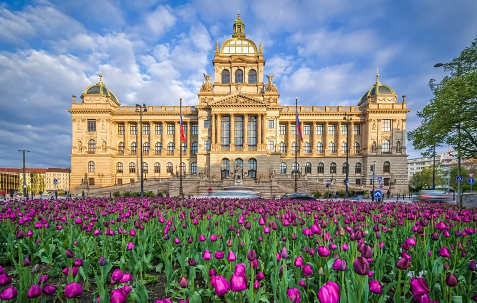 Národné múzeum