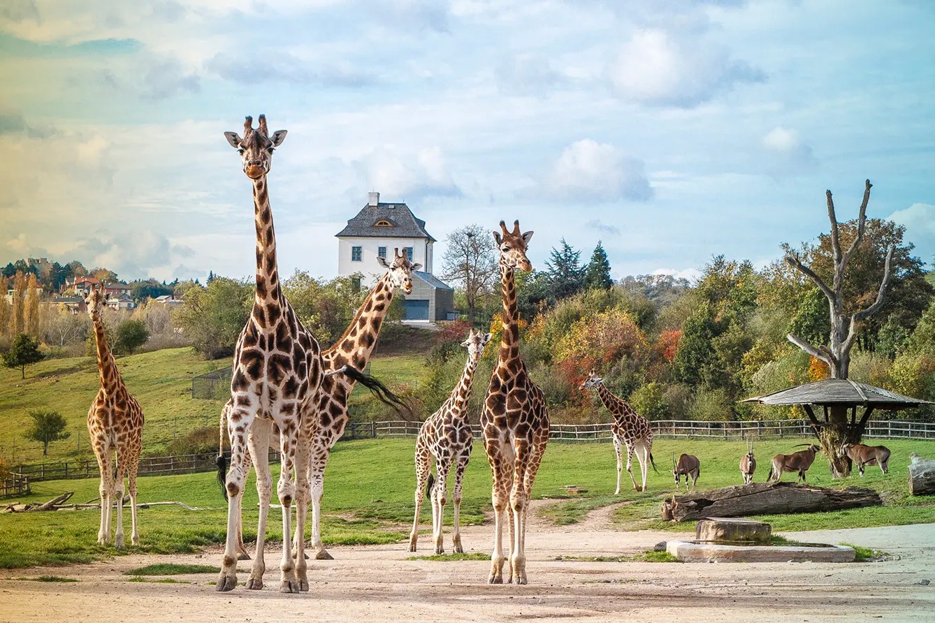 Zoo Praha